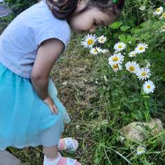 Фото отзыва 4620788