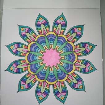 Скетчмаркеры Qredo двусторонние 80 шт.: отзыв пользователя Детский Мир