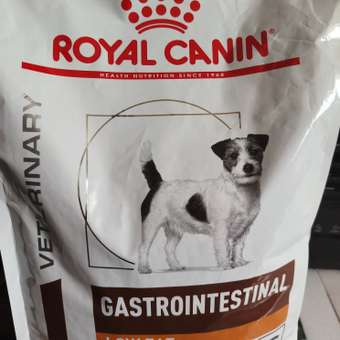 Корм для собак ROYAL CANIN Gastrointestinal low fat мелких пород 3кг: отзыв пользователя. Зоомагазин Зоозавр