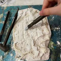 Фото отзыва 10659669