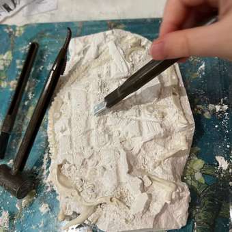 Набор для раскопок Играем вместе Трицератопс и Брахиозавр: отзыв пользователя Детский Мир