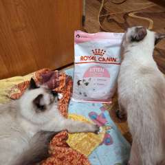 Фото отзыва 10732547