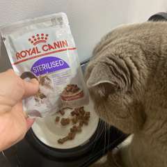 Фото отзыва 10435408