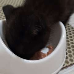 Видео отзыва 10459484