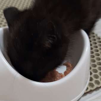 Корм для котят Деревенские лакомства 70г отборный тунец паштет пауч: отзыв пользователя. Зоомагазин Зоозавр