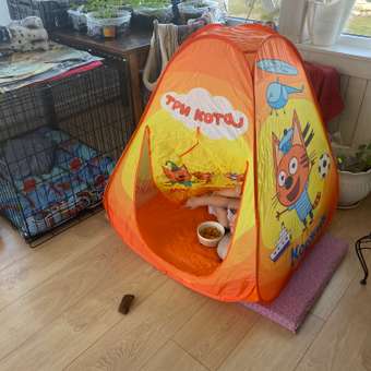 Палатка ЯиГрушка Три кота: отзыв пользователя Детский Мир