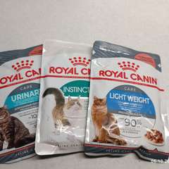 Фото отзыва 10463341