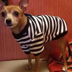 Фото отзыва 10906688