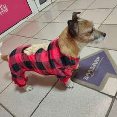 Фото отзыва 10744922