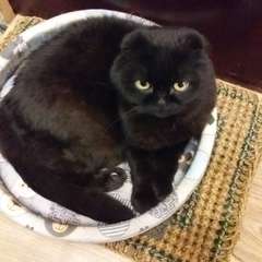 Фото отзыва 10536250