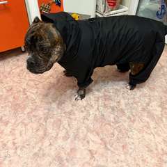 Фото отзыва 11034088