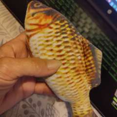 Фото отзыва 10019429