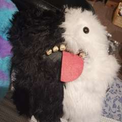 Фото отзыва 10644518