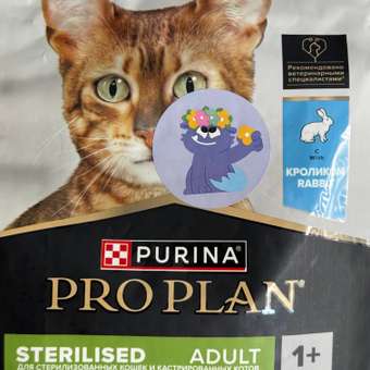 Корм сухой для кошек PRO PLAN RENAL PLUS 1.5 кг с кроликом для стерилизованных: отзыв пользователя. Зоомагазин Зоозавр