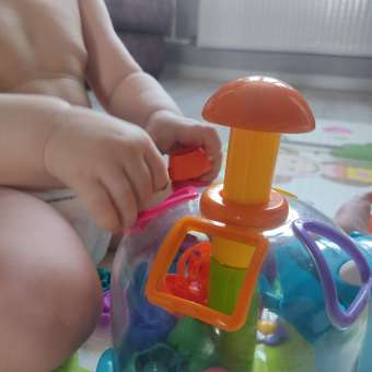 Игрушка BabyGo сортер Бегемот: отзыв пользователя ДетМир