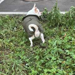 Фото отзыва 10735119