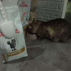 Фото отзыва 10814332