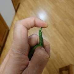 Фото отзыва 10700235