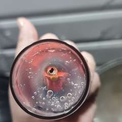 Фото отзыва 2650244