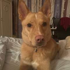 Фото отзыва 11069646