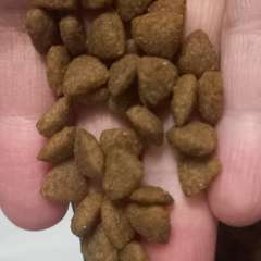 Фото отзыва 10754504