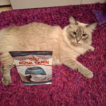 Корм сухой для кошек ROYAL CANIN Hairball Care 400г для профилактики образования волосяных комочков в желудочно-кишечном тракте: отзыв пользователя. Зоомагазин Зоозавр