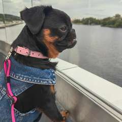 Фото отзыва 10274397