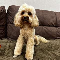 Фото отзыва 10802151