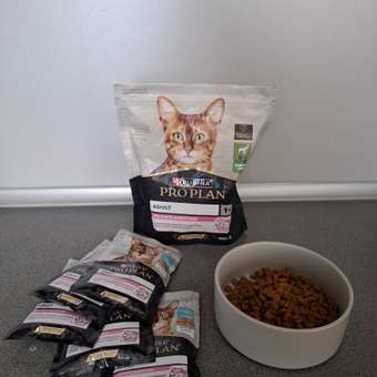 Корм сухой для кошек PRO PLAN DELICATE DIGESTION 400г с ягненком: отзыв пользователя. Зоомагазин Зоозавр