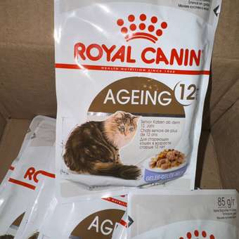 Корм для кошек ROYAL CANIN Ageing 85гр для пожилых 12+ желе пауч: отзыв пользователя. Зоомагазин Зоозавр