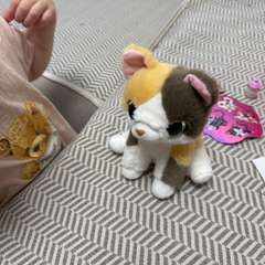 Фото отзыва 11298064