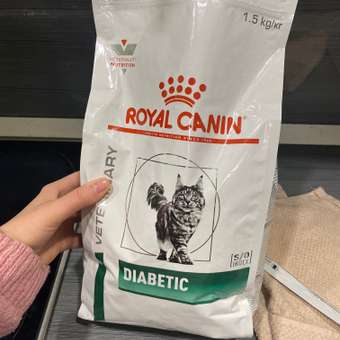 Корм для кошек ROYAL CANIN Diabetic при сахарном диабете 1.5кг: отзыв пользователя. Зоомагазин Зоозавр
