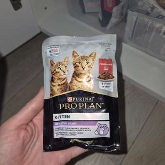 Корм влажный для котят PRO PLAN HEALTHY START 85г с говядиной в соусе: отзыв пользователя. Зоомагазин Зоозавр