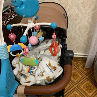 Коляска 2в1 Babyton Sandy Beige: отзыв пользователя ДетМир