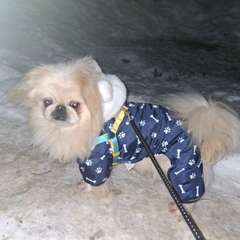 Фото отзыва 10966426