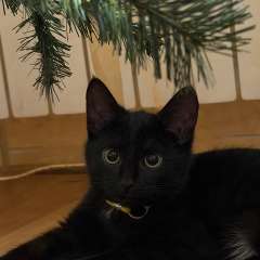 Фото отзыва 10821638