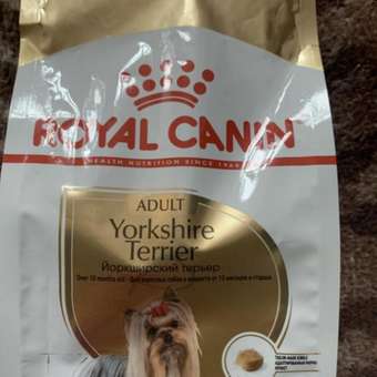 Корм для собак ROYAL CANIN породы йоркширский терьер 1.5кг: отзыв пользователя. Зоомагазин Зоозавр