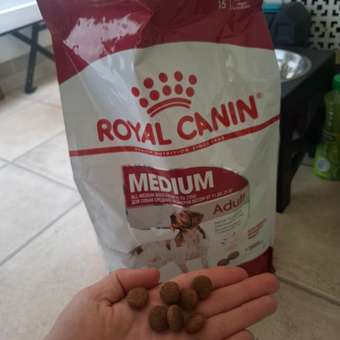 Корм для собак ROYAL CANIN средних пород 3кг: отзыв пользователя. Зоомагазин Зоозавр