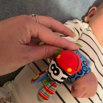 Игрушка FergoKids погремушка: отзыв пользователя Детский Мир