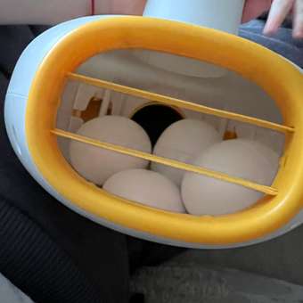 Игрушка BabyGo пирамидка Уточка: отзыв пользователя ДетМир