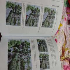 Фото отзыва 11167657