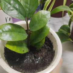 Фото отзыва 6126