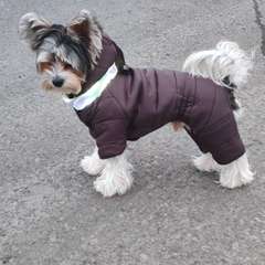 Фото отзыва 10705891