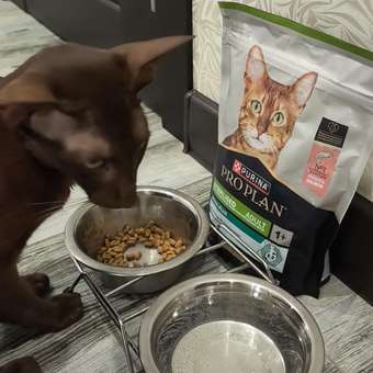 Корм сухой для кошек PRO PLAN DELICATE DIGESTION 1.5 кг с ягненком: отзыв пользователя. Зоомагазин Зоозавр