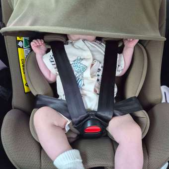 Автокресло Happy Baby Sheltix Isofix 0+/1/2/3 (0-36 кг) зеленый: отзыв пользователя Детский Мир