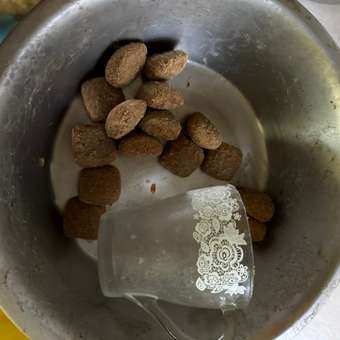 Корм для собак ROYAL CANIN гигантских пород более 45кг 15кг: отзыв пользователя. Зоомагазин Зоозавр