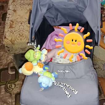 Коляска прогулочная Babyton Ellipse Grey серый: отзыв пользователя ДетМир