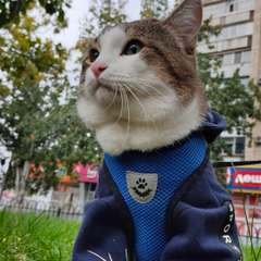 Фото отзыва 10904111