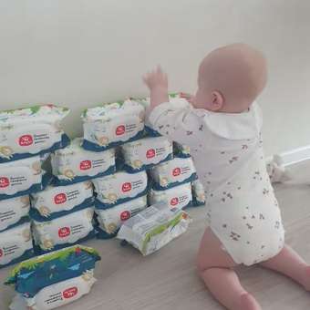 Влажные салфетки BabyGo 120 шт.: отзыв пользователя Детский Мир