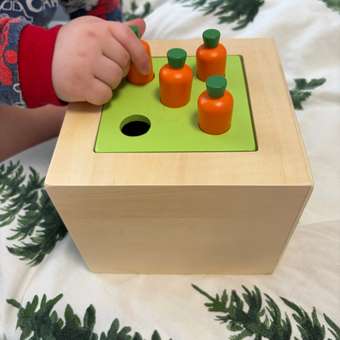 Игрушка Tooky Toy сортер: отзыв пользователя Детский Мир